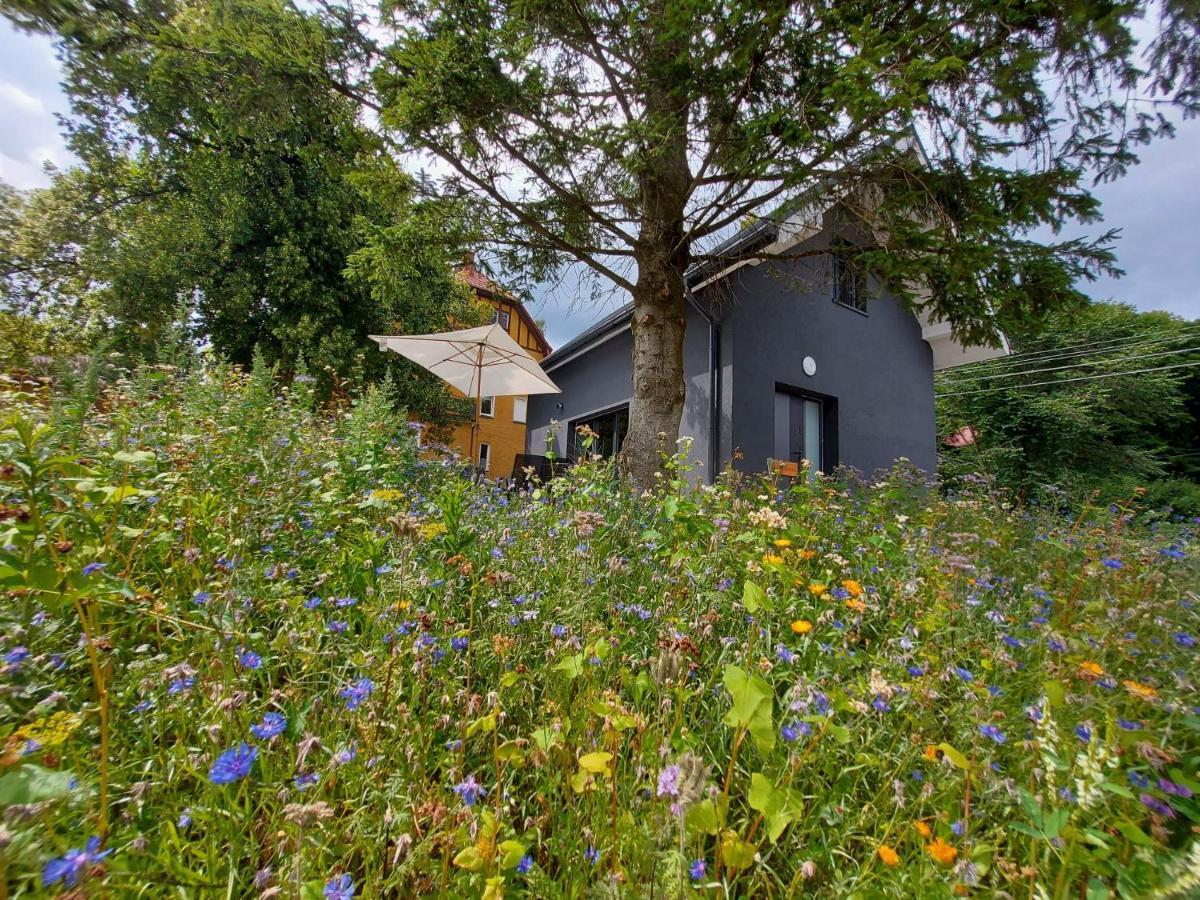 Bryziowka B Villa Milkow  Luaran gambar